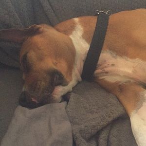 Meet your Posher, Bj